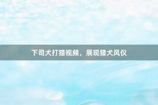 下司犬打猎视频，展现猎犬风仪